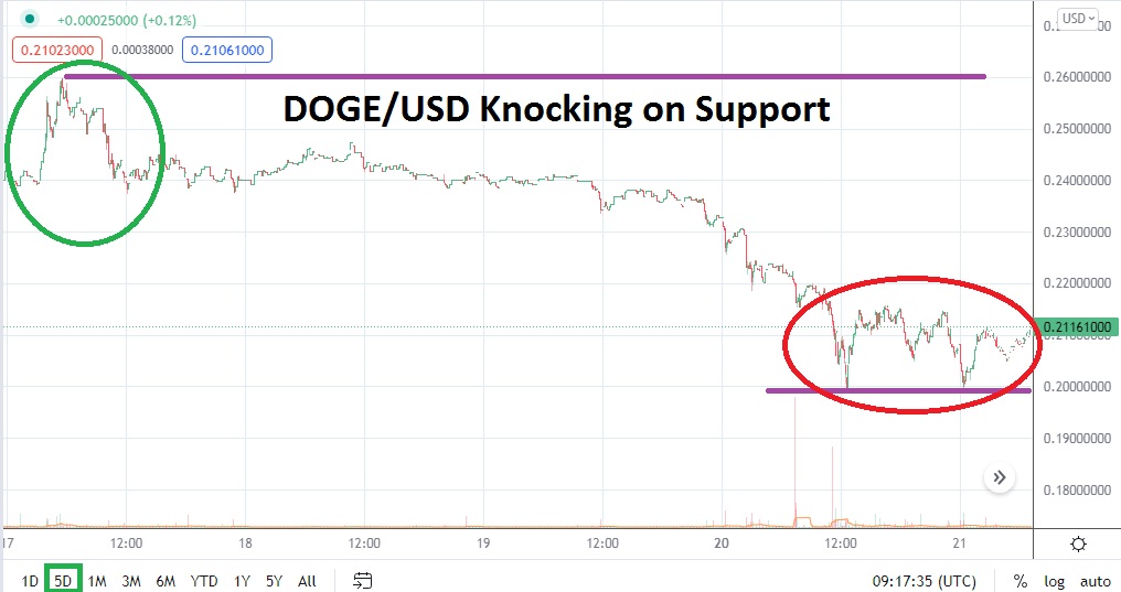 DOGE/USD DOGE/USD